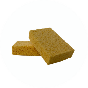 EPONGE